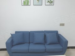 租房也能有品质：低成本提升租房生活幸福感的小物推荐